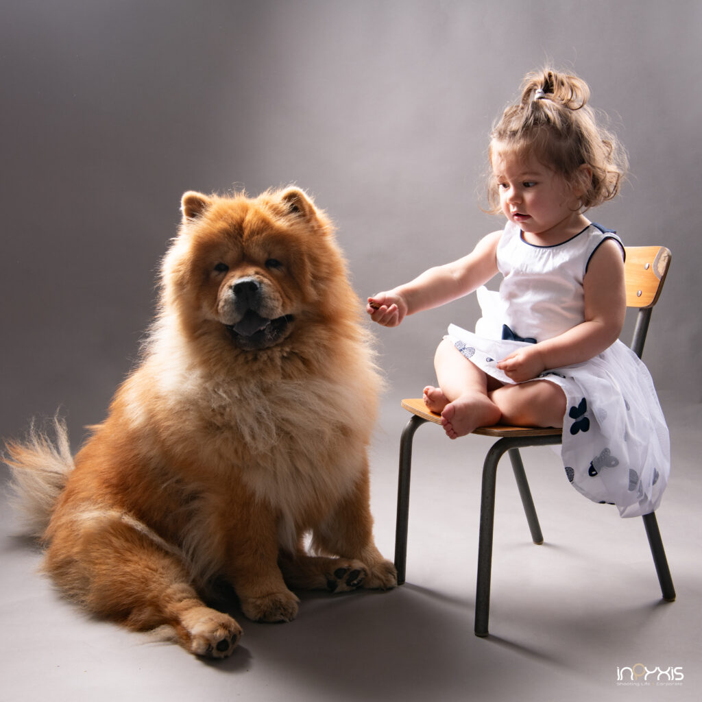 Photographe animal compagnie metz